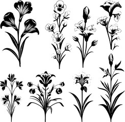  pattern, flower, floral, seamless, vector, leaf, design, decoration, ornament, illustration, wallpaper, art, plant, nature, vintage, damask, black, branch, decor, element, silhouette, swirl, flowers,