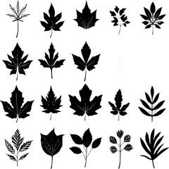  pattern, flower, floral, seamless, vector, leaf, design, decoration, ornament, illustration, wallpaper, art, plant, nature, vintage, damask, black, branch, decor, element, silhouette, swirl, flowers,