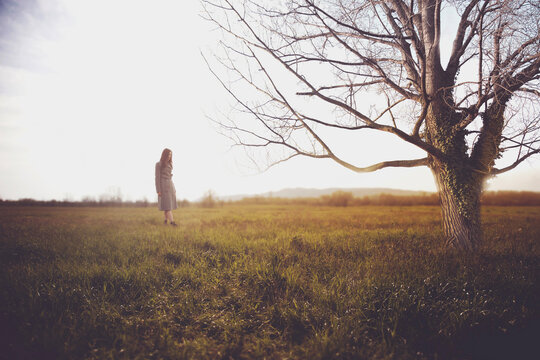 landscape dominated by a large bare tree in the foreground, in the background a woman walking out of focus
