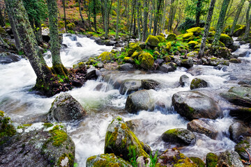 Arroyo de Serrezuelas