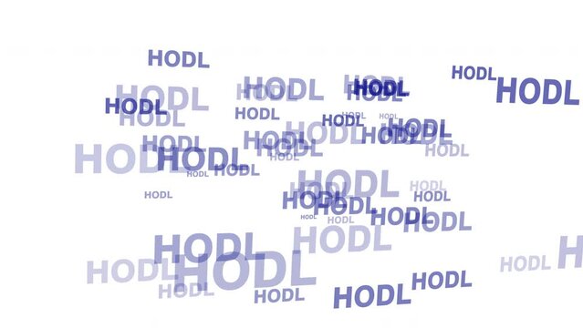 Hodl long term hold strategy for bitcoin and other crypto assets in secure wallet amidst rising trend of crypto market and increasing global finance innovation