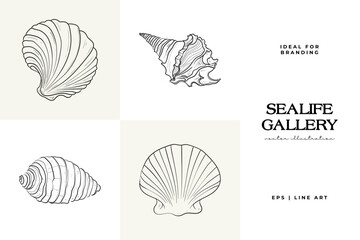 Ocean and Sea, Botanica illustration. Black ink, line, doodle style.