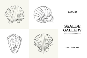 Ocean and Sea, Botanica illustration. Black ink, line, doodle style.