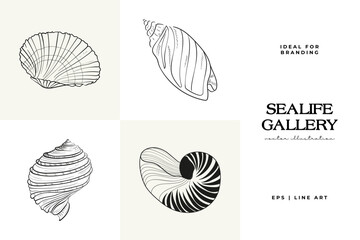 Ocean and Sea, Botanica illustration. Black ink, line, doodle style.