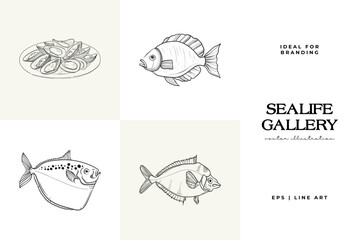 Ocean and Sea, Botanica illustration. Black ink, line, doodle style.