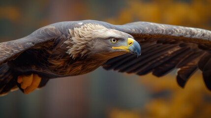 Eagle Flying in Sky. Generated AI