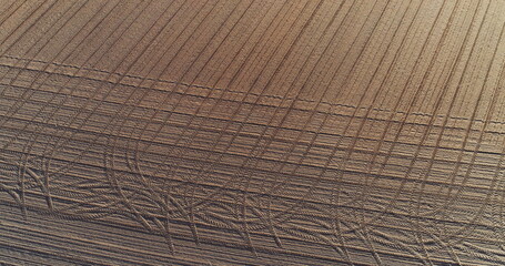 aerial view fresh cultivated field