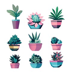 A set of succulents for the home. Fashionable indoor plants for home decor cartoon vector