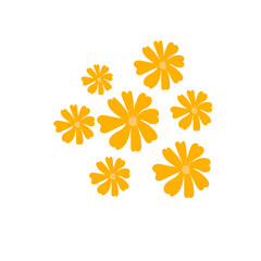 Flowers Set on White Background: Floral Vector Illustration with Yellow Blossoms. Seven yellow flower white background with different size of flowers.