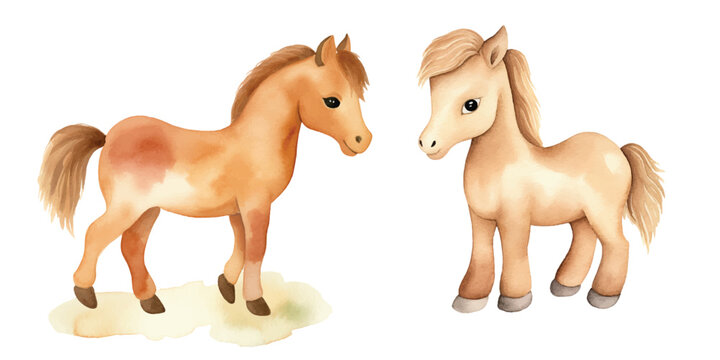 cute horse watercolor vector illustration © Finkha