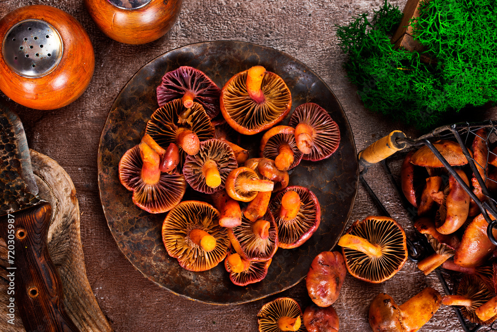 Poster heap of raw wild saffron milk cap or red pine mushrooms on plate