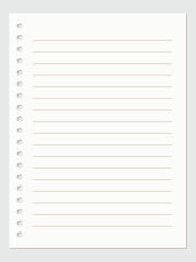 Torn blank notebook paper
