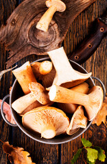 raw mushrooms, fresh mushrooms on cutting board - 720308307