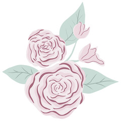 Pink rose illustration for decor and sticker