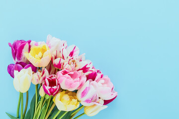 Naklejka na ściany i meble Bouquet of colorful tulips on light blue background. Greeting card, copy space