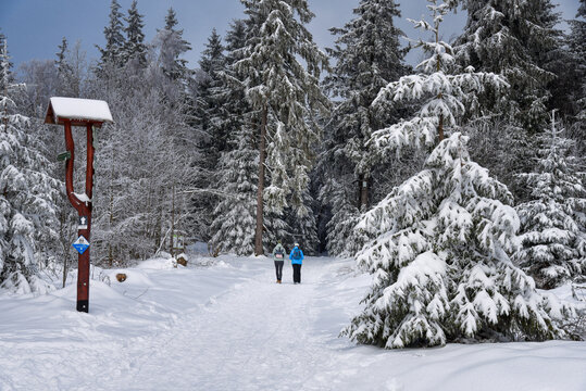 Winterwanderung im Thüringer Wald