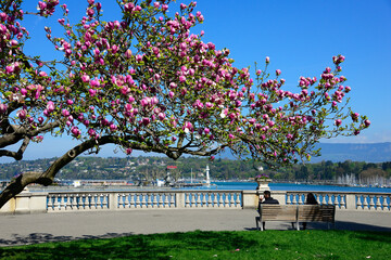 Geneva, Switzerland, Europe - Rotonde du Mont-Blanc, Promenade along Lake Geneva shore and Quai du...