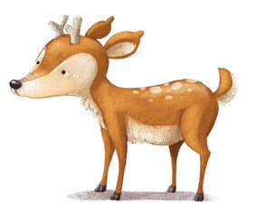 Isolated young deer illustration - 720330989