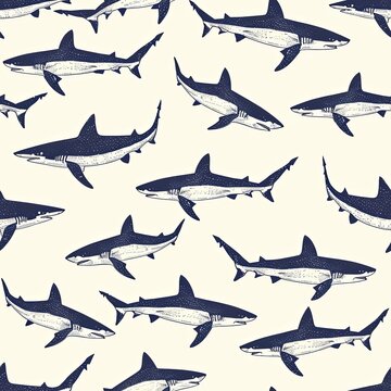 Hand drawn illustration of sharks swimming around, clean, minimal, seamless pattern image, aesthetic vibe.