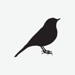 bird silhouettes white background. Vector illustration