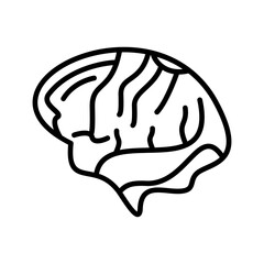 Brain Vector Icon