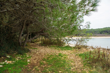 A footpath in Kamenjak National Park on the Premantura peninsula of Medulin, Istria, Croatia