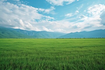 empty landscape gren field with mountain background