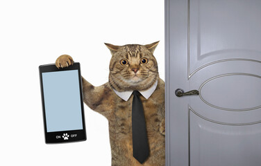 Cat with smartphone near door - 720342954