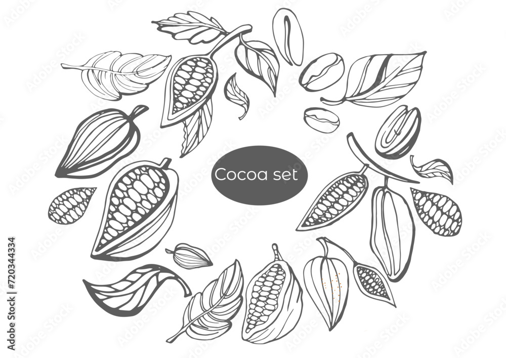 Wall mural vector set of hand drawing of cocoa, cocoa branches, leaves, coffee and chocolate. cocoa bean tree d - Wall murals
