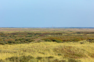 Overview of the sand dunes covered with marram beach grass, Blurred view of Ameland (Bornrif Lighthouse) The Dutch Wadden Sea island Terschelling, An island in the northern, Friesland, Netherlands.