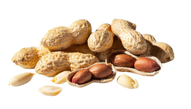 Peanuts isolated on a transparent background. Peanuts in shell.