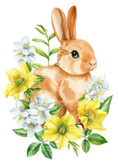 Little bunny and hellebore yellow flowers isolated white background, watercolor cute animal illustration, easter rabbit