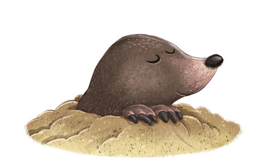 Illustration of mole coming out of the ground - obrazy, fototapety, plakaty