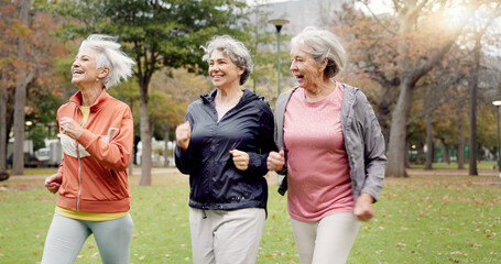 Senior women, walking and friends with fitness, wellness and workout for health in retirement. Park, exercise and elderly female group with motivation and power walk for cardio outdoor together