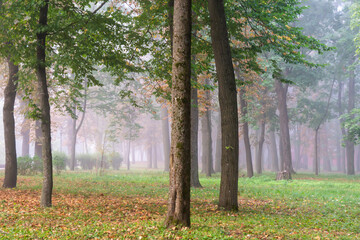 Beautiful autumn day in Gomel park.