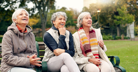 Senior, women and friends pointing in park with view and retirement smile in a garden. Nature, holiday and conversation with elderly female people on vacation feeling happy from bonding and freedom