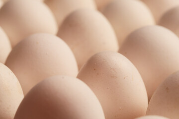 Macro detail of white eggs with warm light. Food concept.