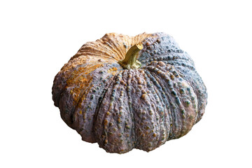 Pumpkin isolated on the white background. Fresh Organic Nutmeg pumpkin isolated on transparent background, PGN File