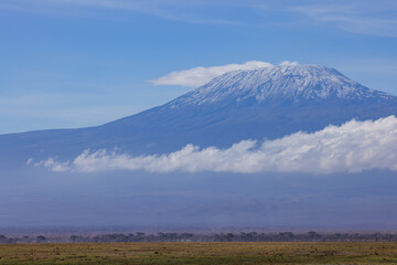 Obraz premium the savannah of Amboseli NP with mount kilimanjaro in background