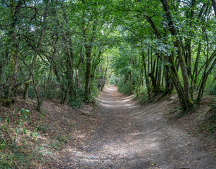 Dardilly, France - 08 05 2023: View of a footpath in the forest.
