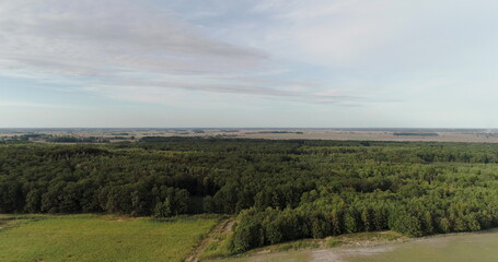 Obraz premium aerial view of agricultural fields and forest