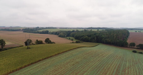 Fototapeta premium aerial view of agricultural fields and forest