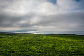Fototapeta premium pradera con cielo nublado