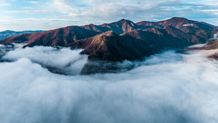 Mountain forest covered with mist. Fog in the forest. Aerial view with the forest in the mountains covered by the fog that floats over the valley. Valley between the mountains covered with mist.