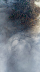 Mountain forest covered with mist. Fog in the forest. Aerial view with the forest in the mountains covered by the fog that floats over the valley. Valley between the mountains covered with mist.
