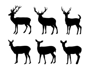 Naklejka premium Collection of silhouettes of deers and wild animals.