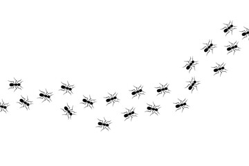Ants marching across screen