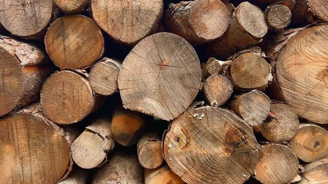Wall made with a pile of chopped logs of different sizes. log pile background