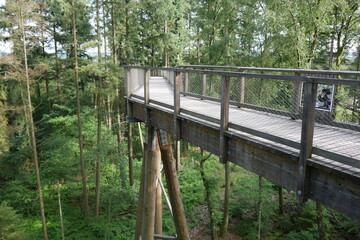 Baumwipfelpfad an der Saarschleife bei Cloef