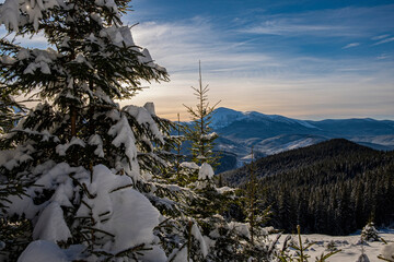 winter in the carpathian mountains